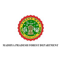 MP Forest